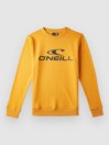 O'Neill Crew Kids Sweater