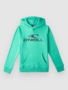 O'Neill Hoodie Kids Hoodie