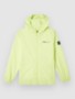 sunny lime