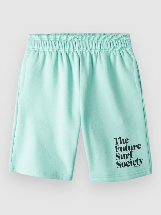 O'Neill Future Surf Kids Shorts