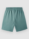 O'Neill Future Surf Kids Short