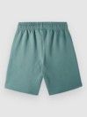 O'Neill Future Surf Kids Shorts