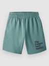 O'Neill Future Surf Kids Shorts