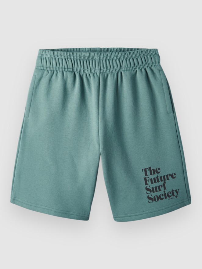O'Neill Future Surf Kids Shorts