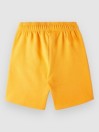 O'Neill Future Surf Kids Shortsit