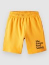 O'Neill Future Surf Kids Shortsit