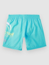 O'Neill Circle Surfer 14 Kids Boardshorts
