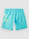 O'Neill Circle Surfer 14 Kids Boardshorts