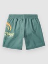 O'Neill Circle Surfer 14 Kids Boardshorts