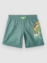 O'Neill Circle Surfer 14 Kids Boardshorts