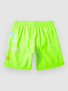 O'Neill Circle Surfer 14 Kids Boardshorts