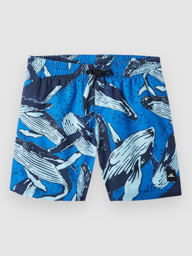 O'Neill Cali Print 13'' Kids Boardshorts