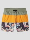 O'Neill Cali Block 13'' Boardshorts