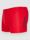 O'Neill Essentials Cali Racer Koupacky