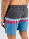 Rip Curl Surf Revival Volley Boardshorts