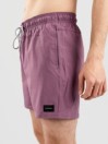 Rip Curl Daily Volley Boardshorts