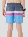 Rip Curl Surf Revival Volley Boardshorts