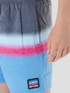 Rip Curl Surf Revival Volley Boardshorts