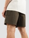THE NORTH FACE Class V Ripstop Shorts