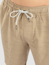 Salty Crew Drifter 2 Hybrid Elastic Shorts