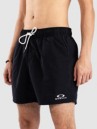 Oakley Clear Lake 16″Volley Boardshorts