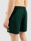 Oakley Clear Lake 16"Volley Boardshorts