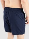 Oakley Clear Lake 18″Volley Boardshorts