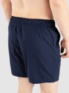 Oakley Clear Lake 18"Volley Boardshorts