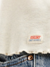 Levi's Graphic Dry Goods Tílko
