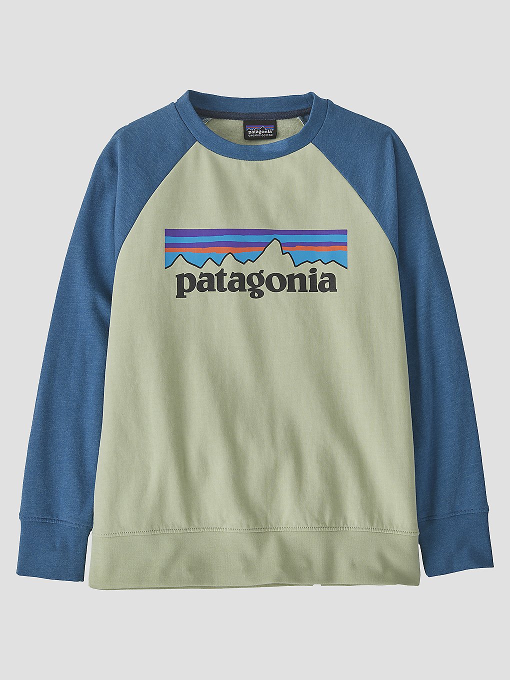 Patagonia Lw Crew Sweater  salvia green kaufen