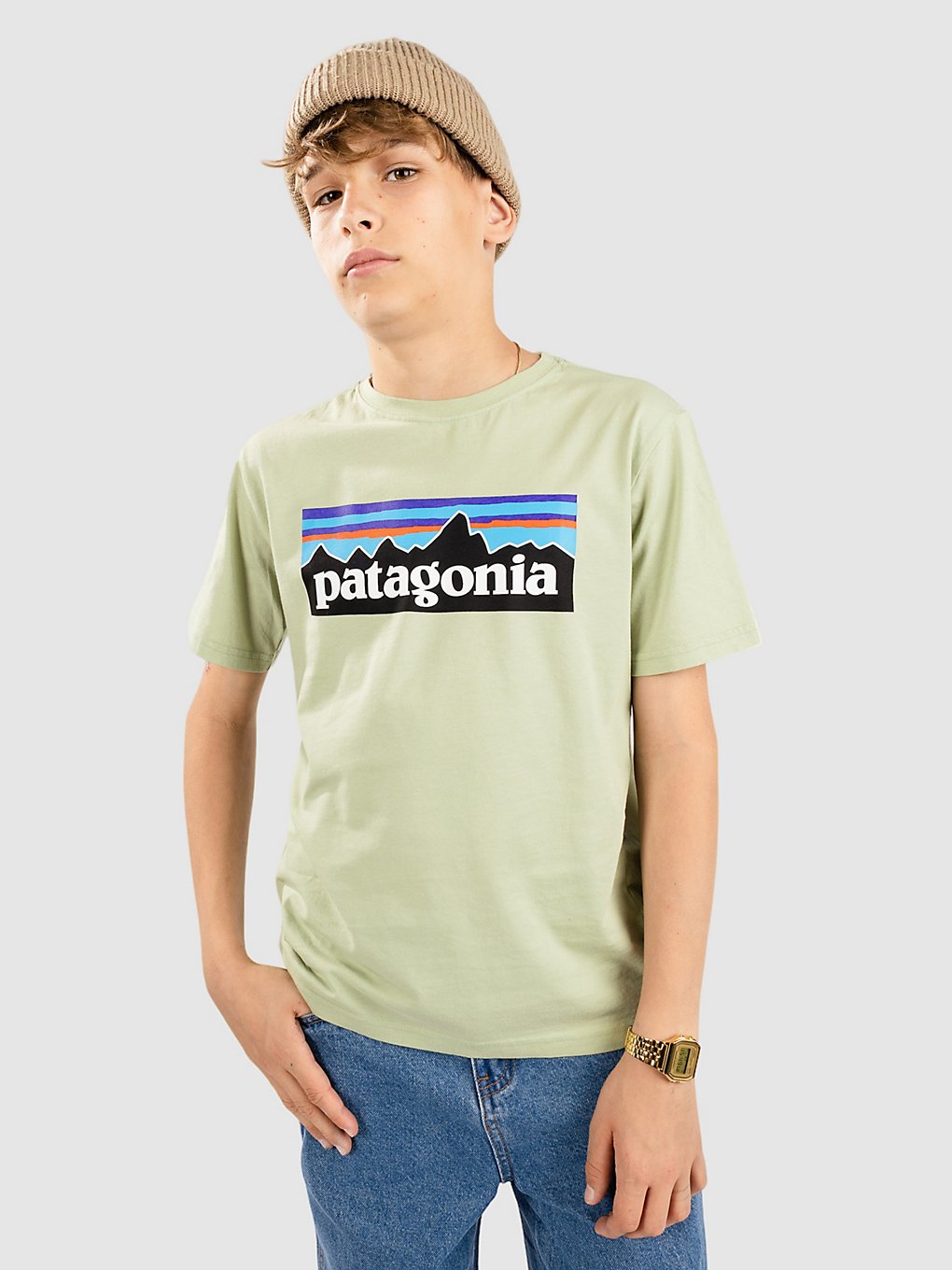 Patagonia Regenerative Organic Certified Cotton P- T-Shirt salvia green kaufen