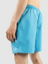 Oakley Clear Lake 18″Volley Boardshorts