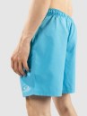 Oakley Clear Lake 18″Volley Boardshorts