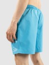 Oakley Clear Lake 18"Volley Boardshorts