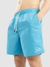 Oakley Clear Lake 18″Volley Boardshorts
