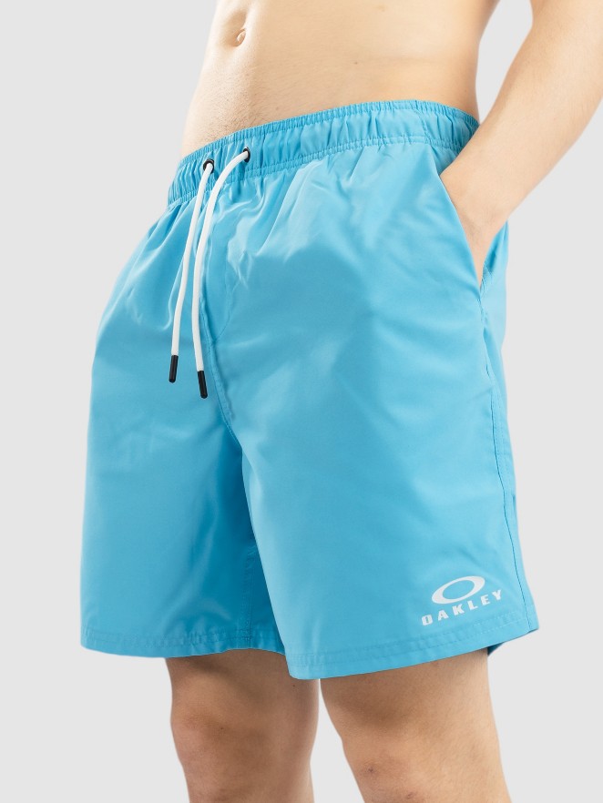 Oakley Clear Lake 18″Volley Boardshorts