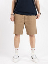 REELL Reflex Lazy Shorts