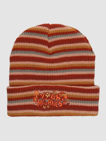 Your Highness In The Groove Stripe Beanie