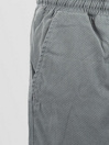 Iriedaily Love n Relax Shorts