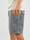 Iriedaily Love n Relax Shorts