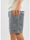 Iriedaily Love n Relax Shorts