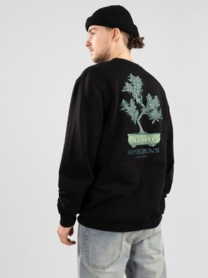 Iriedaily Bonsigh Crew Jersey