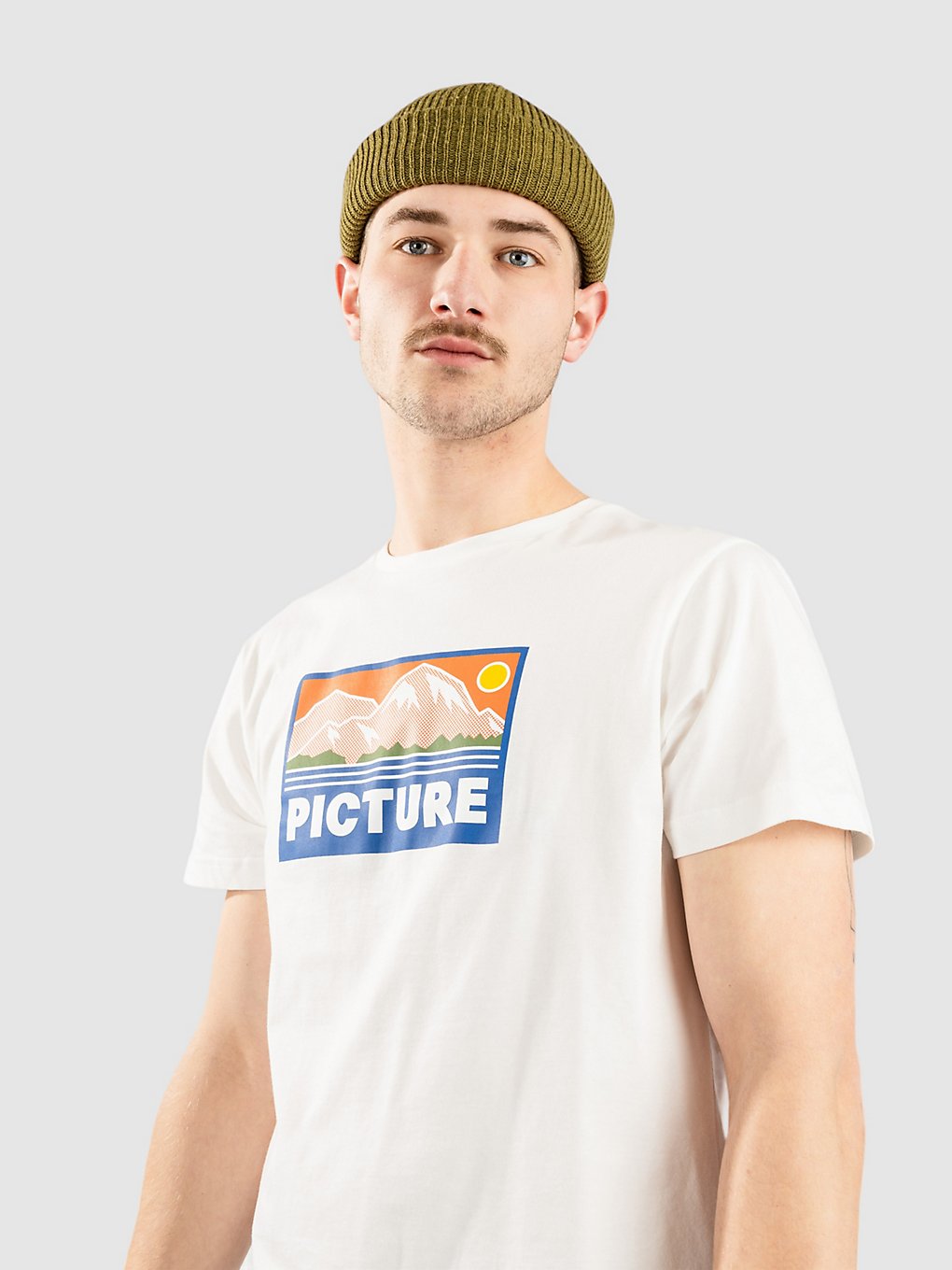 Picture Payne T-Shirt white kaufen