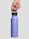Hydro Flask 21Oz Standard Flex Cap Bouteille