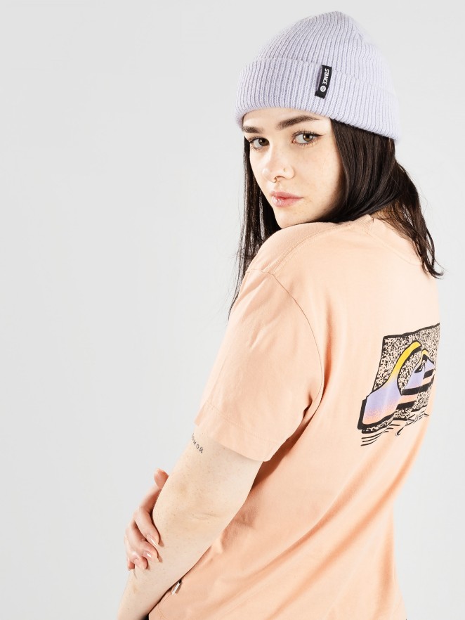 Quiksilver Uni Screen T-Shirt