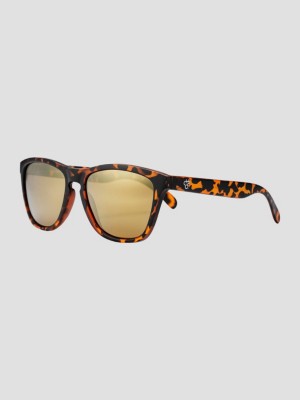 CHPO Bodhi Turtle Brown Sonnenbrille