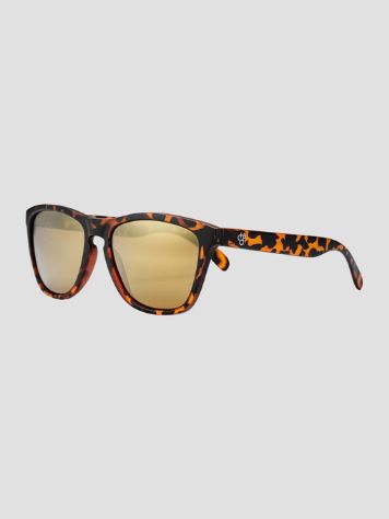 CHPO Bodhi Turtle Brown Sunglasses