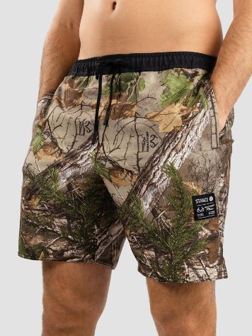 Stance Complex Realtree Boardshorts
