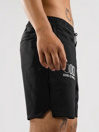 Stance Complex Boardshorts