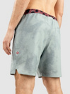 Stance Complex Boardshorts